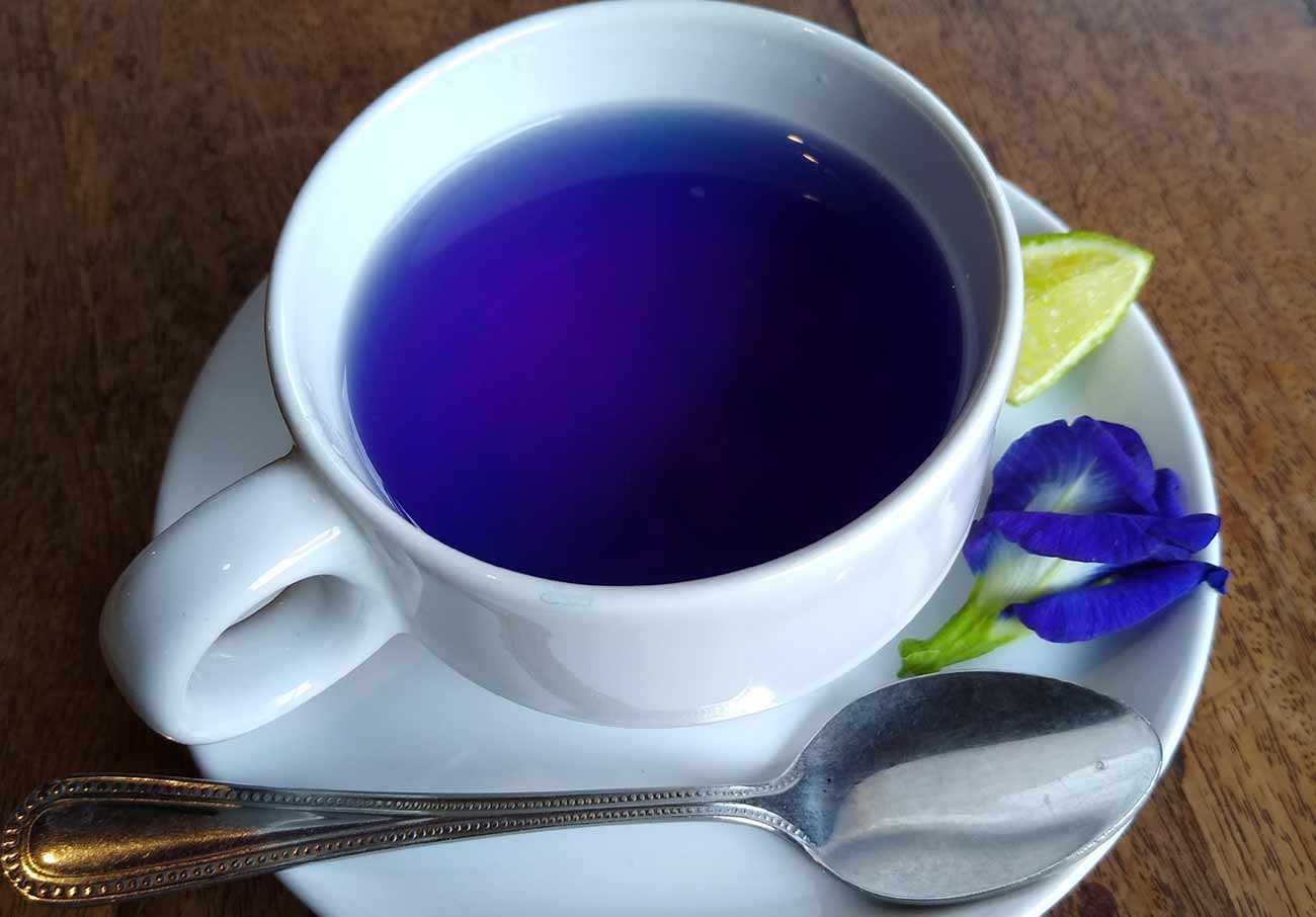 blue butterfly pea flower tea health benefits best climate pledge friendly tea brands