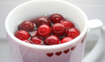 health benefits of cranberry tea_Matching Teas with Different Cuisines