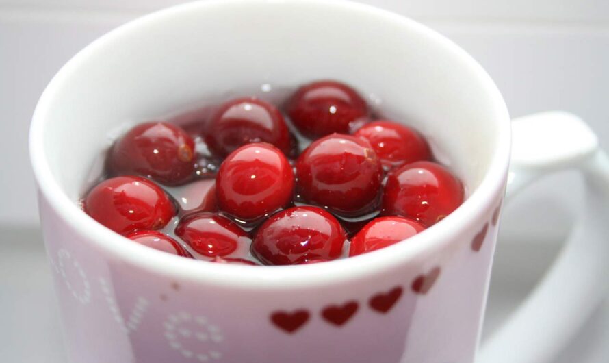 12 Health Benefits of Drinking Cranberry Tea Daily