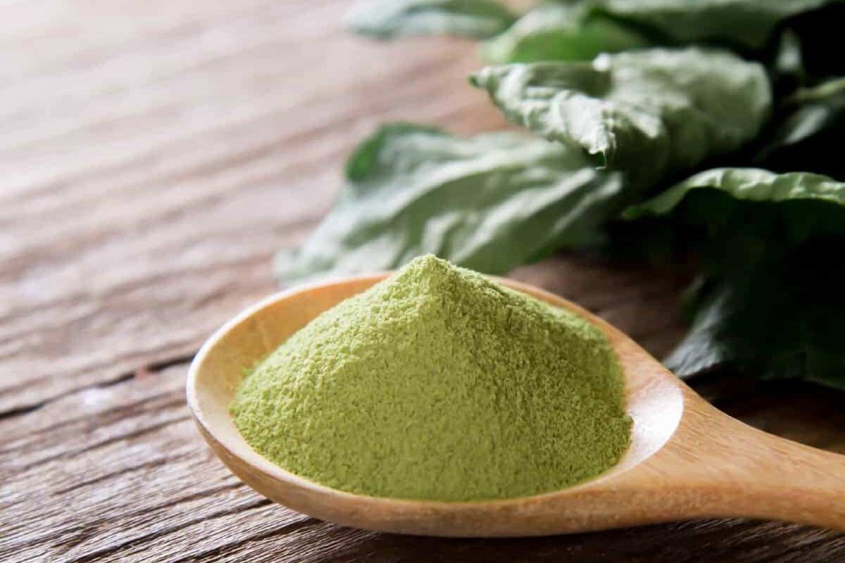 matcha-green-tea-powder_health benefits of Darjeeling First Flush tea