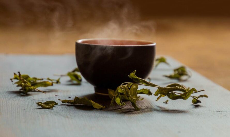 How Drinking Green Tea Can Help Lower Cholesterol