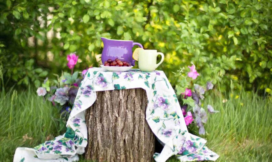 16 Buckwheat Tea Health Benefits, Nutrition, Side Effects