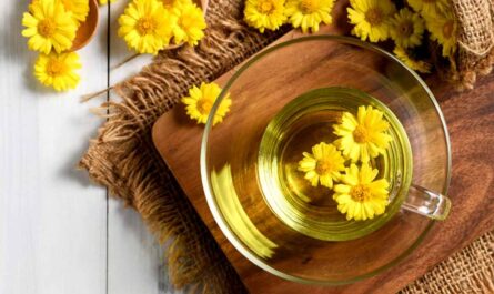 Chrysanthemum Tea Health Benefits_