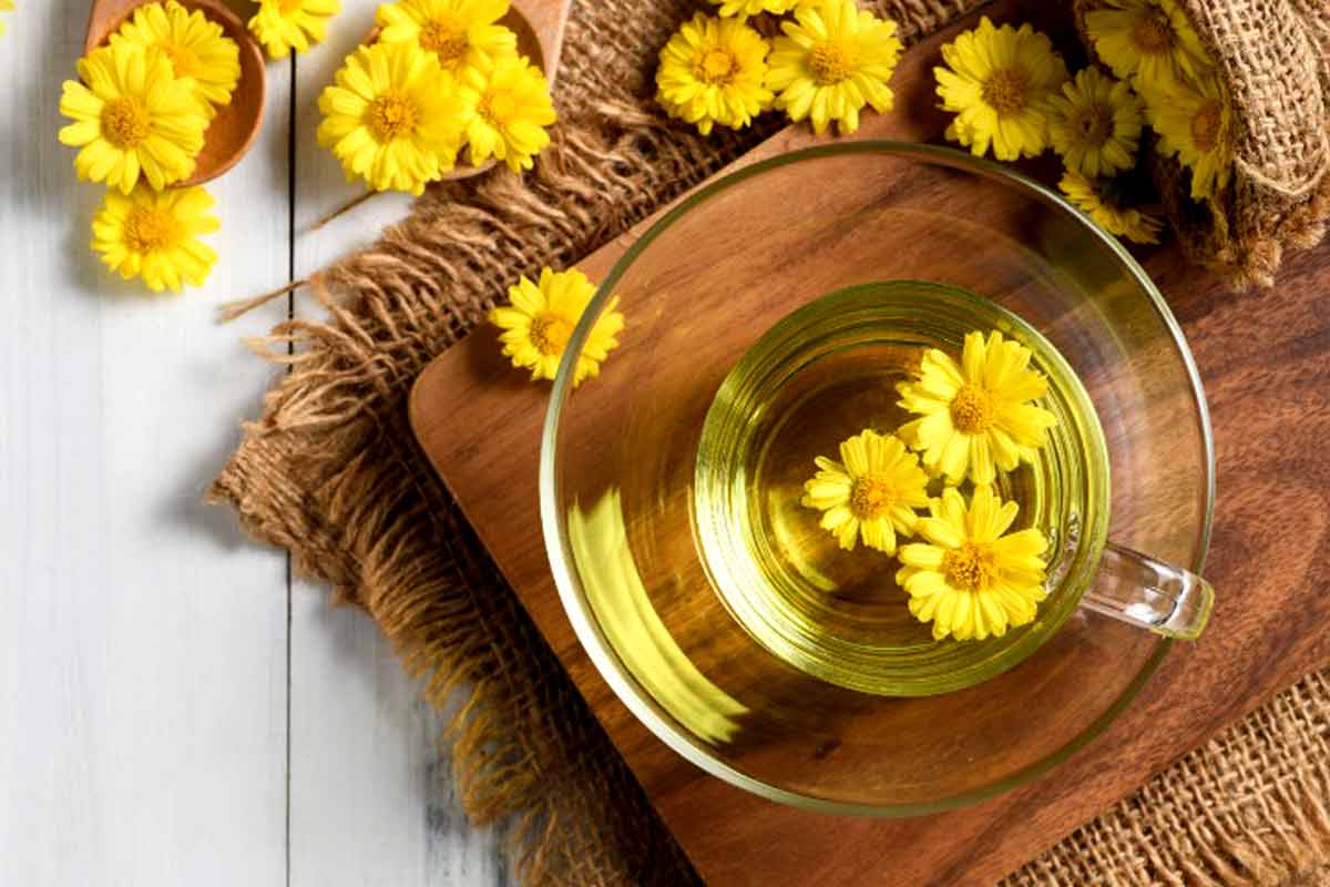 Chrysanthemum Tea Health Benefits_Different Tea Types