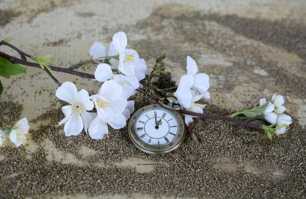 best time to drink milk_Attending Tea Trade Shows and Events